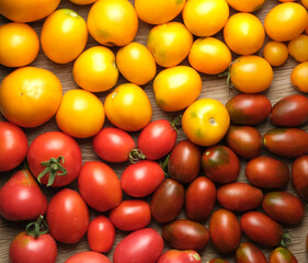 red tomatoes and yellow tomatoes on the table