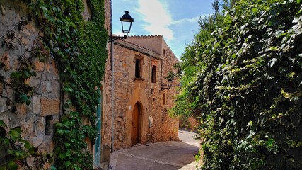 Fototapeta na wymiar Ametlla de Segarra-Comarca de la Segarra-Lleida-Catalunya