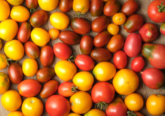 red tomatoes and yellow tomatoes on the table