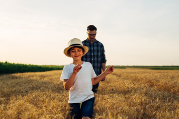 young boy walks through wheat field with his father