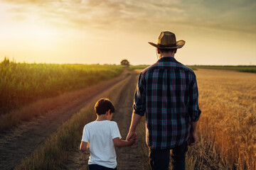 back view of father and son walking on country road on wheat field on sunset