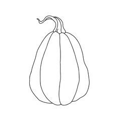 Pumpkin, outline drawing with a black line. Harvest.
