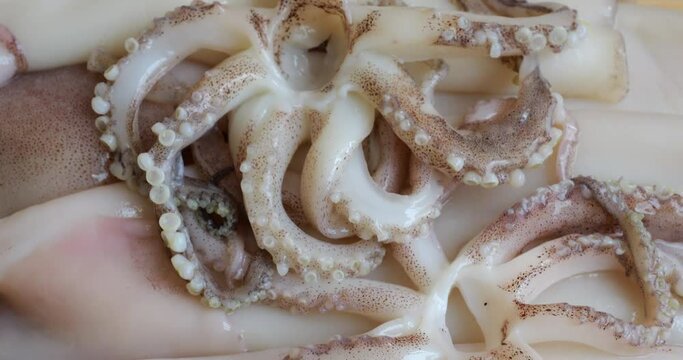 Tentacles with suction cups and carcass of raw squid on a cutting board. Fresh Seafood and Cooking.