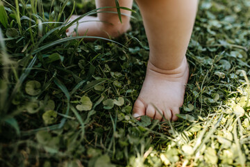 closeup of barefoot baby feet standing on green grass