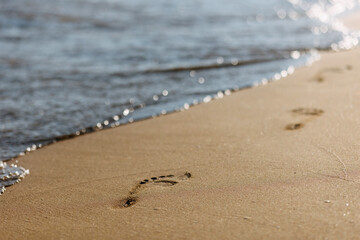 Fototapeta na wymiar footprints on the beach on a sunny day