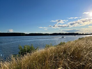 view of the Volga River. dry grass, summer