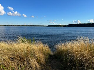 view of the river and the forest, dry grass, sunny day