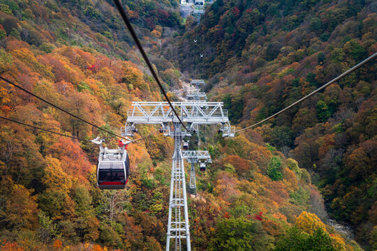 秋の谷川岳ロープウェイ【群馬県・利根郡・みなかみ町】
Mt.Tanigawadake Ropeway in autumn - Gunma, Japan