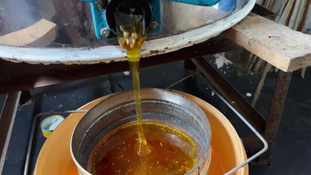 Fresh golden bee honey is poured from a barrel
