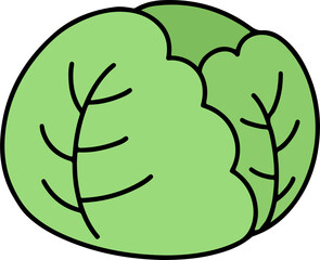 キャベツ