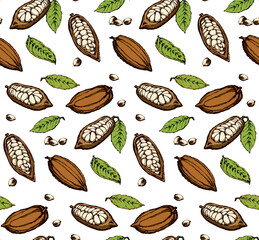 Cocoa Fruits. Vector drawing