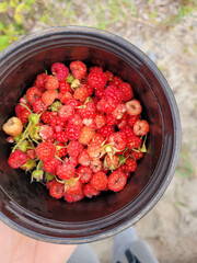 Raspberries in a cup, mood photo