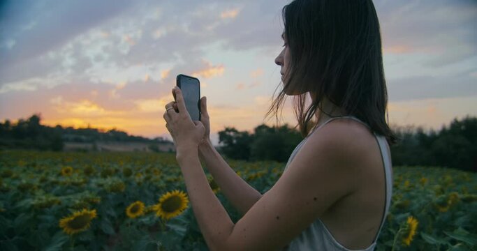 Beautiful inspired woman taking photo or video at sunflower meadow using mobile phone at sunset on summer vacation trip. Influencer or travel blogger female making digital content with smartphone