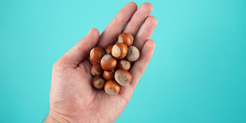 Closeup shot of  hazelnuts in a person's hand