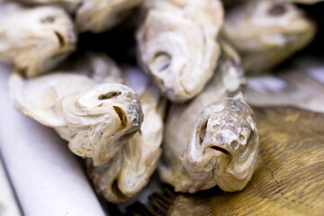 Dried bream in the shop window, fish business