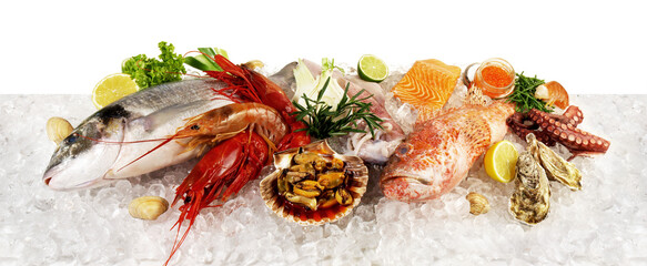 Fish and Sea Food on Ice with Sea Weed, Caviar, Mussels, Oysters and Scallop isolated on white Background - Side View Banner