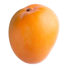 Green mango isolated on alpha background.