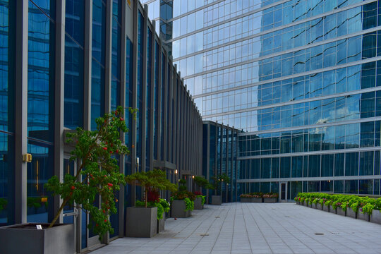 A building&rsquo;s outdoor terrace lined with plants and small trees