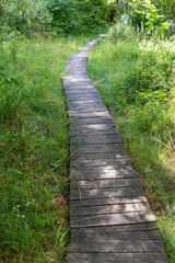 Fototapeta na wymiar A wooden walking path over wetlands in the Poleski National Park.