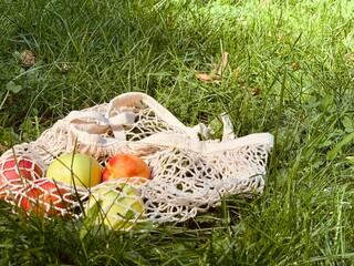 Obraz premium Fruits in String bag on the grass