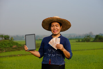 Asian woman farmer holds Thai banknote money and blank  screen smart tablet, stands at green paddy field. Concept : farmer use technology internet connection to manage  agricultural crops
