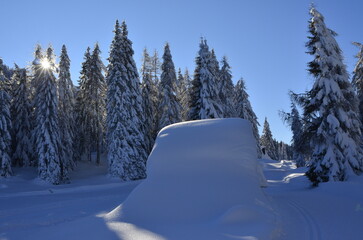 Nevicata