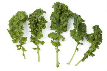 Organic cabbage kale on white background isolated with clipping path.