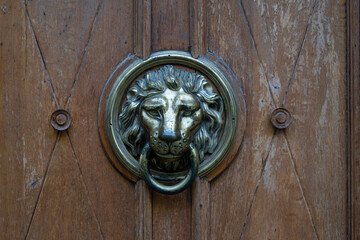 Fototapeta na wymiar Door handle in the shape of a lion's head.