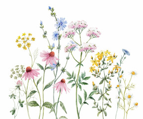 Beautiful floral composition with watercolor hand drawn summer wild field flowers. Stock illustration. Clip art.