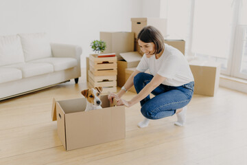 Fototapeta na wymiar New home, moving day and relocation concept. Positive brunette woman plays with pedigree dog in carton container, unpack boxes with belongings, pose in spacious living room with comfortable sofa