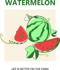 Design with elements of stylized watermelon.Watermelon in flat vector style with lettering.