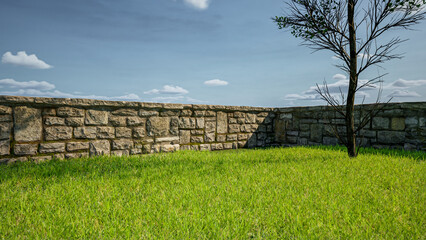 3d rendering grass garden with tree and wall