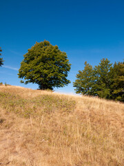 Italia, Toscana, Arezzo, montagna del Pratomagno.