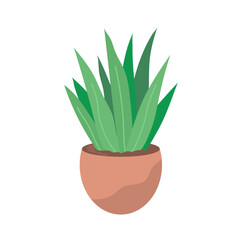 Decorative home flower. Pot with green plant. Object of a room interior. Flat vector illustration isolated on white background