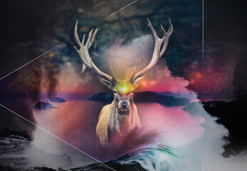 Elk | Beauty is the Beast © Alina