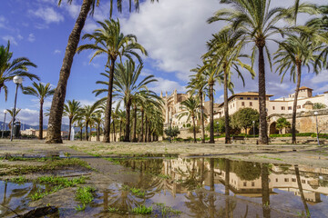 Obraz premium Parque del Mar, Palma, Mallorca, islas baleares, Spain