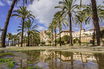 Fototapeta na wymiar Parque del Mar, Palma, Mallorca, islas baleares, Spain