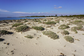 complejo dunar, playa Es Caragol.espacio de alta proteccion medioambiental, Santaniy,comarca de Migjorn, Mallorca. Islas Baleares. Spain.