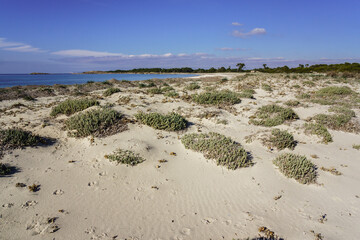 complejo dunar, playa Es Caragol.espacio de alta proteccion medioambiental, Santaniy,comarca de...