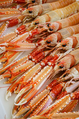 cigalas,Sa Rapita, Mallorca,Islas Baleares,Spain.