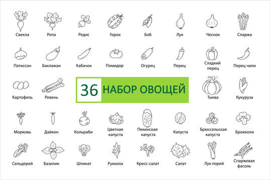 Vegetables icon set. Simple concise images of vegetables with names in Russian. Collection of icons in outlines. Vegetarianism. Tomato, turnip, cabbage, onions, carrots, corn and others. Vector, eps 