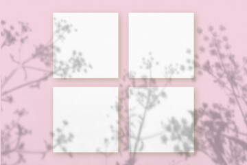 Fototapeta premium Natural light casts shadows from the plant 4 square sheet of white textured paper lying on a pink textured background. Mockup