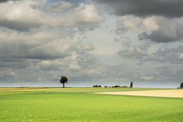 Obraz na płótnie Canvas Rolling countryside with farmland and trees under a cloudy sky.