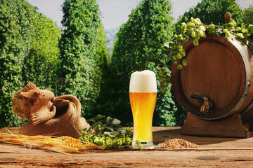 Vintage beer barrel and glasses with frothy beer, wheat and hops on wooden table over hop gardens and nature landscape background. - obrazy, fototapety, plakaty