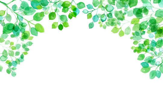 木漏れ日のイメージ。水彩イラスト。新緑のアーチ型フレーム背景（透過背景）