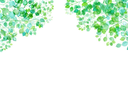 木漏れ日のイメージ。水彩イラスト。新緑のフレーム背景（透過背景）