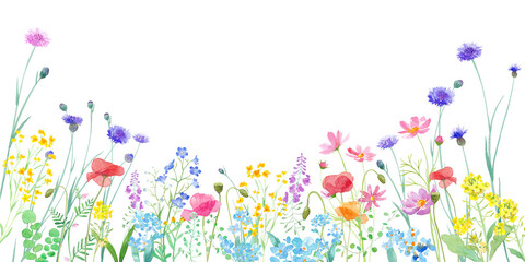 色々の花が咲き乱れる、春の野原の水彩イラスト。フレームデザイン。バナー背景。（透過背景）