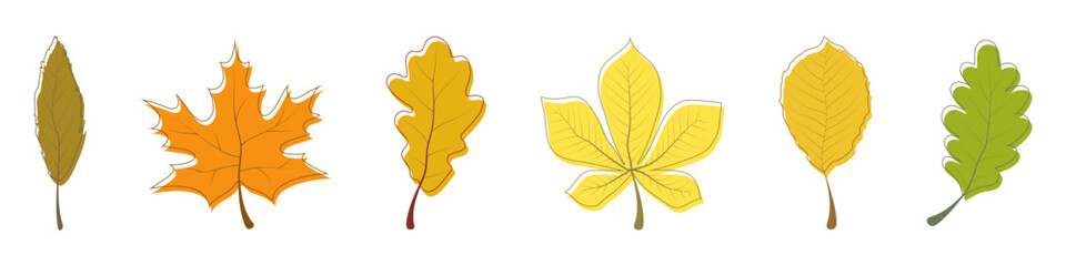 Autumn Leaf collection. Autumn Leaves vector icons. Autumn Leaf. Leaves. Vector illustration