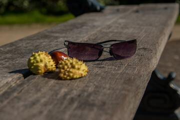 automne sous le soleil