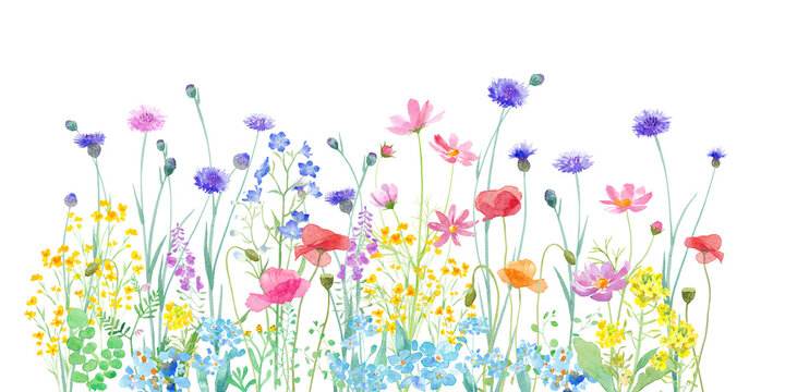 色々の花が咲き乱れる、春の野原の水彩イラスト。（透過背景）